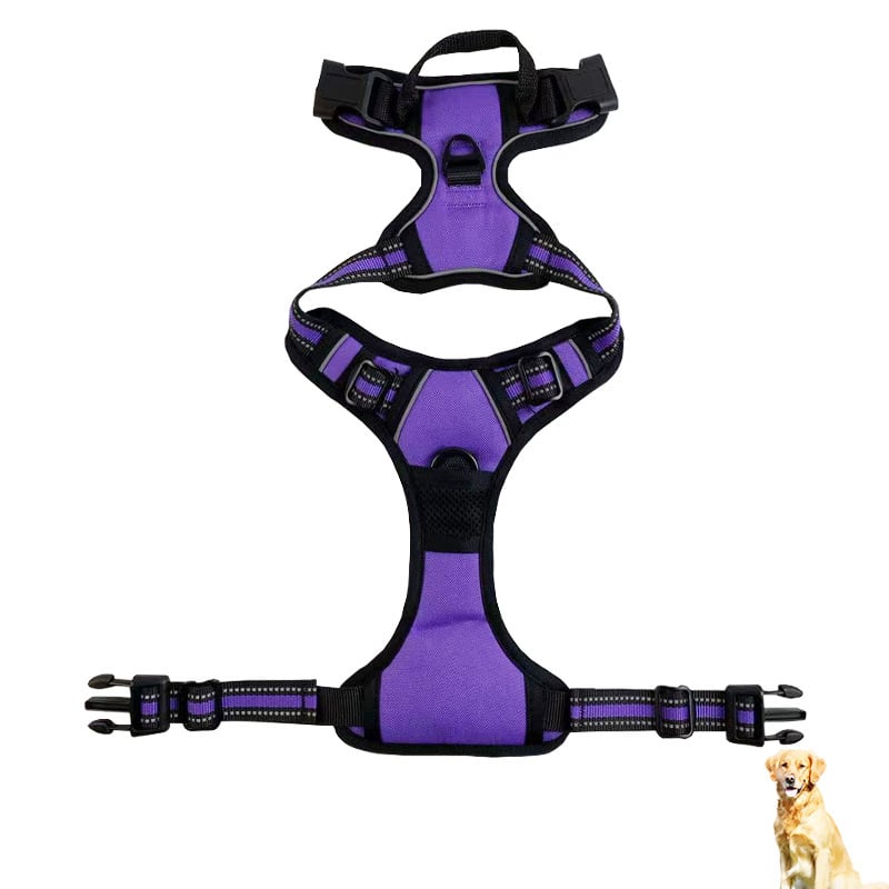 GlowGuard Dog Harness