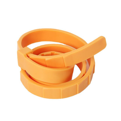 PetGuard Flea & Tick Prevention Collar