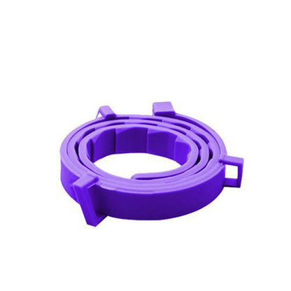PetGuard Flea & Tick Prevention Collar