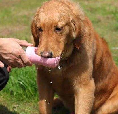 Travel-Pet Hydration Flask