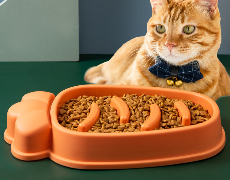 Safe Slow Feed Bowl for Large Dogs