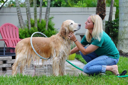 Canine Clean Circle: Easy Bath Ring