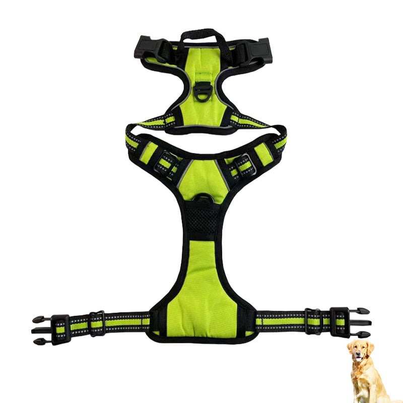 GlowGuard Dog Harness