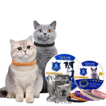 PetGuard Flea & Tick Prevention Collar