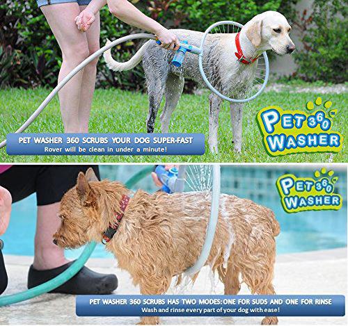 Canine Clean Circle: Easy Bath Ring